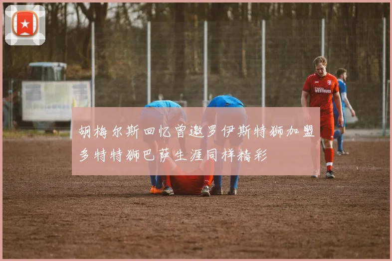 胡梅尔斯回忆曾邀罗伊斯特狮加盟多特特狮巴萨生涯同样精彩