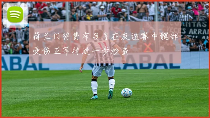 荷兰门将费布吕亨在友谊赛中髋部受伤正等待进一步检查