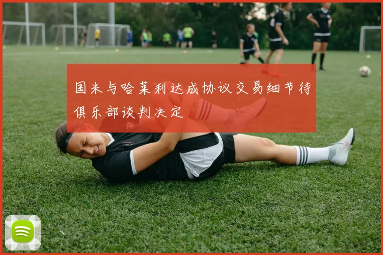 国米与哈莱利达成协议交易细节待俱乐部谈判决定